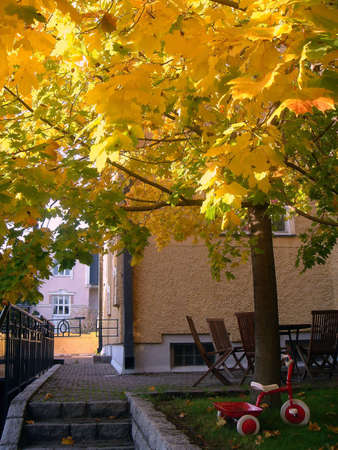 Autumn yardの写真素材