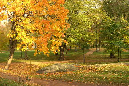 Autumn parkの写真素材