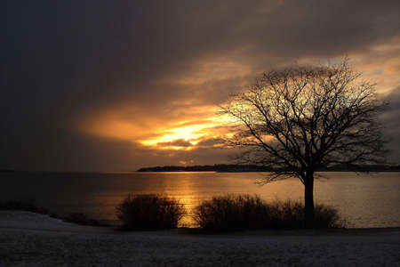 Heavenly projector.Tree on a background of a sunsetの写真素材