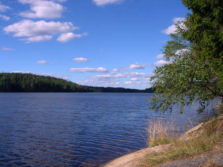 Summer on wood lakeの写真素材