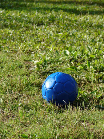            Dark blue ball lies on a green grass                    の写真素材