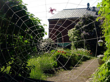                                Rope web in a private garden in the summerの写真素材