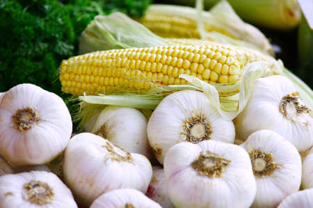 Corn and garlicの写真素材