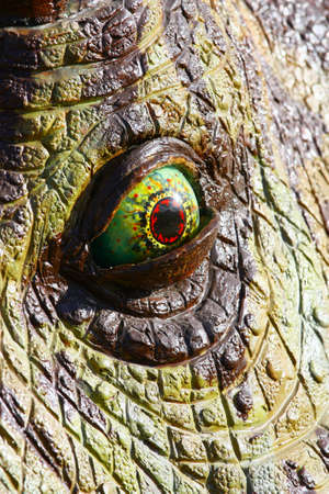 Triceratops dinosaur eyeの写真素材