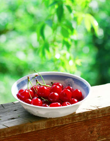 Sweet red cherries. Freshly picked heap of cherriesの写真素材
