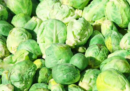 Brussel sprouts の写真素材