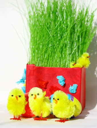Colored easter eggs and chickens in green grass with white background