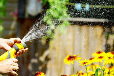 Watering Flowersの写真素材