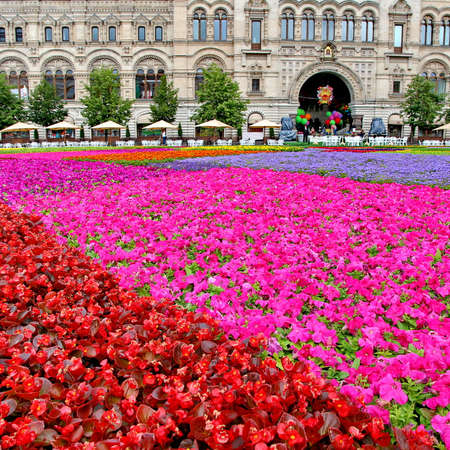 MOSCOW - JULY 20: Flower Festival in Red Square in honor of 120th anniversary of the trading house GUM on July 20, 2013 in Moscow. For the festival have been grown more than 650 thousand flowers. のeditorial素材