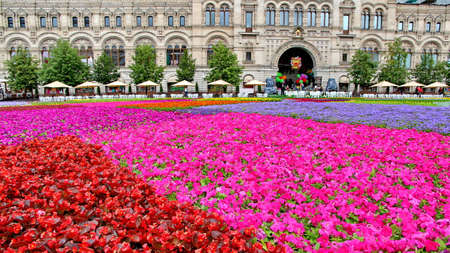 MOSCOW - JULY 20: Flower Festival in Red Square in honor of 120th anniversary of the trading house GUM on July 20, 2013 in Moscow. For the festival have been grown more than 650 thousand flowers. のeditorial素材
