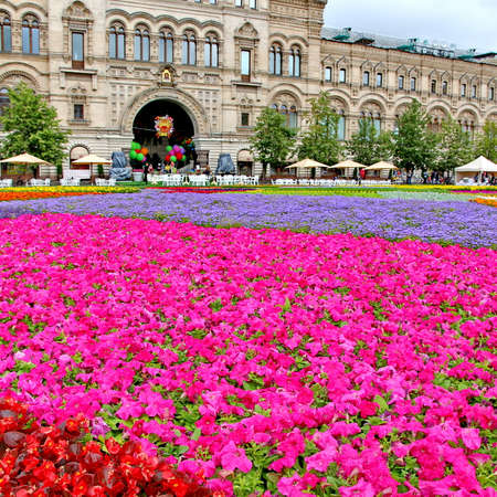 MOSCOW - JULY 20: Flower Festival in Red Square in honor of 120th anniversary of the trading house GUM on July 20, 2013 in Moscow. For the festival have been grown more than 650 thousand flowers. のeditorial素材