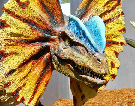 VANTAA, FINLAND - MAY 13, 2012: Realistic model of dinosaur in Finnish Science Center Heureka on May 13, 2012 in Vantaa. Exhibition in Heureka features numerous natural size dinosaurs models.のeditorial素材