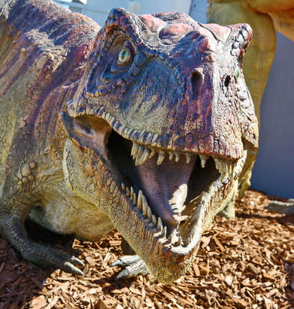 Fearsome carnivore dinosaur Tyrannosaurus Rexの写真素材