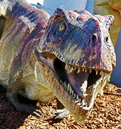 Fearsome carnivore dinosaur Tyrannosaurus Rexの写真素材