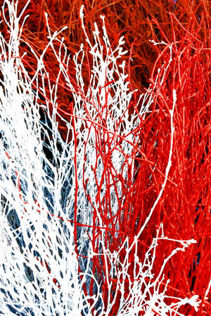 Red and white branches abstract natural backgroundの写真素材