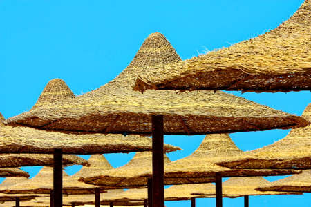 Umbrellas and Red Sea on blue sky backgroundの写真素材