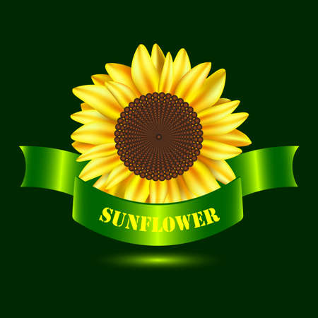 Sunflower to create a label or trademarkのイラスト素材
