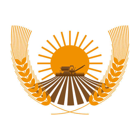 Agriculture field vector illustration of how the harvest of wheatのイラスト素材