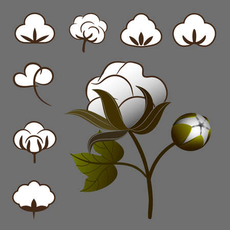 a set of cotton to create labels and trade marksのイラスト素材
