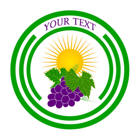Vector logo grapes and the sun as a template for the design of labels, stickers, signs.のイラスト素材