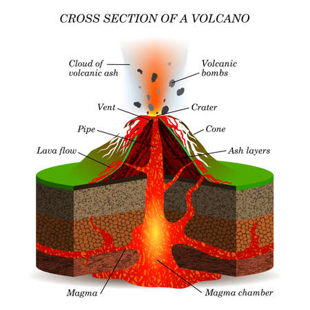 Volcano  igneous eruption in the cross section. Education scientific scheme for posters, placards, pages, banners, vector illustration.のイラスト素材