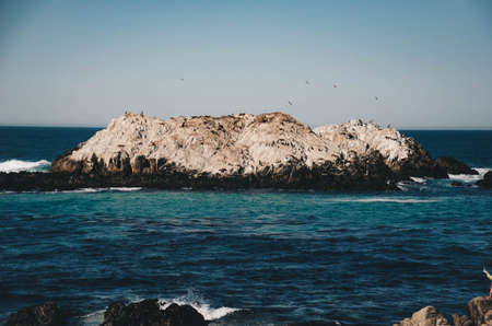Pacific Ocean with sealsの写真素材