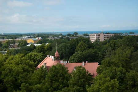Tallinn, Estonia, tower, view, foliageの写真素材