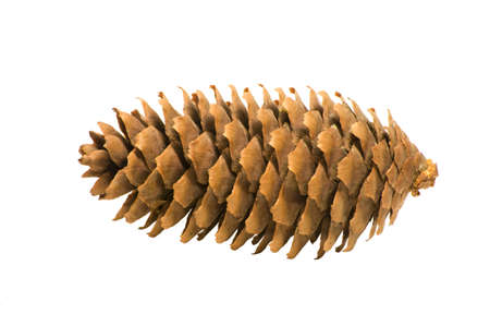 Cone isolated on white background