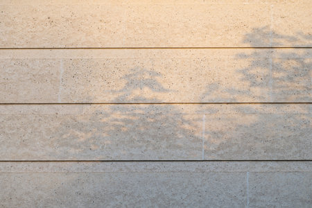 Wall with texture and shadows. Gray concrete backgroundの写真素材