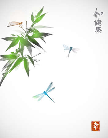 Bamboo branch and three dragonflies in Japanese style sumi-e.のイラスト素材