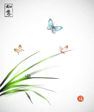 Butterflies and little snail on leaves on grass hand drawn with ink in traditional Japanese painting style sumie on glowing blurred background. Contains hieroglyphs - harmony, health, well-beingのイラスト素材