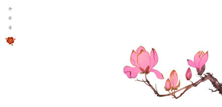 Pink magnolia flowers in oriental style on white background. Translation of hieroglyphs - peace, tranquility, clarityのイラスト素材