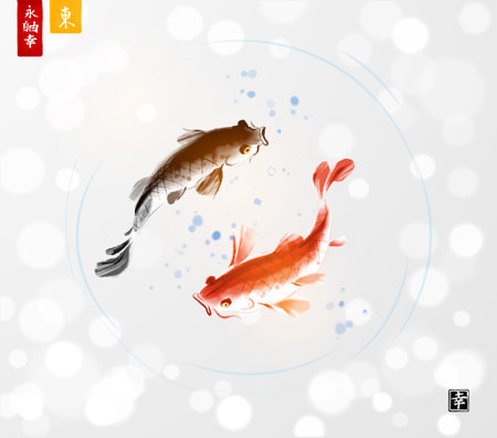 Ink painting of red and black koi carps on white glowing background. Traditional oriental ink painting sumi-e, u-sin, go-hua. Hieroglyphs - eternity, freedom, happinessのイラスト素材
