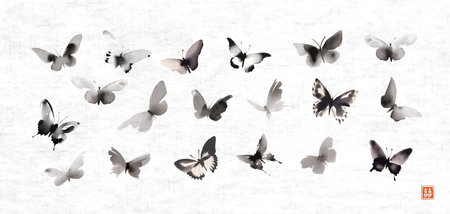Ink wash painting of butterflies in japanese sumi-e style on on rice paper background. Translation of hieroglyph - double luckのイラスト素材