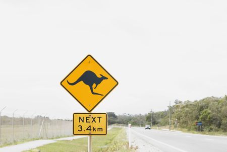 A road sign warning for kangaroos.の写真素材