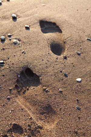Footprints in sand. Perissa beach, Santorini, Greeceの写真素材