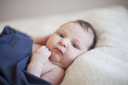 Portrait of a cute newborn baby girl lying wrapped in a blanketの写真素材