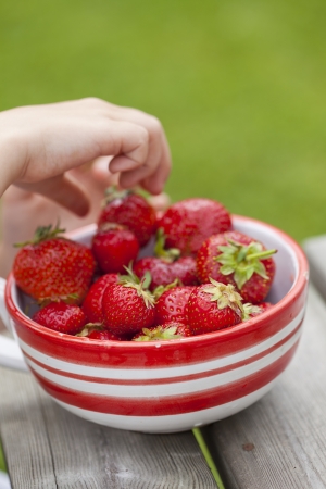 Close-up of a bowl with fresh ripe strawberriesの写真素材
