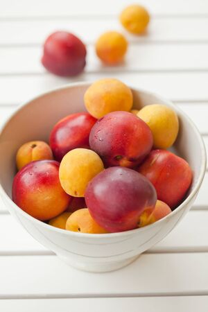 Close-up of a bowl with fresh and ripe apricots and nectarinesの写真素材