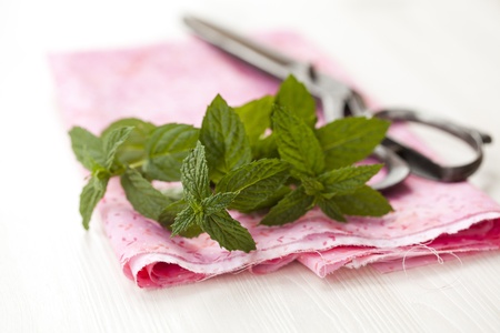 Close-up of fresh, organic mint leavesの写真素材