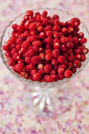 Close-up of a glass bowl of fresh ripe delicious wild strawberriesの写真素材