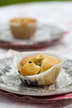 Close-up of delicious home-made blueberry muffins on a plateの写真素材