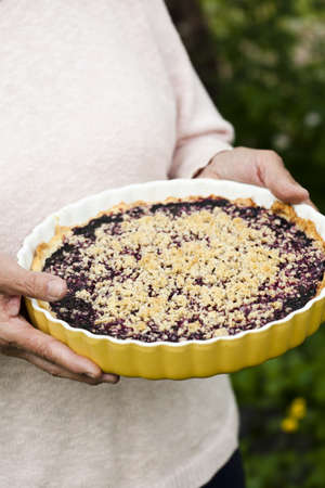Close-up of hands holding a delicious home-made blueberry pieの写真素材