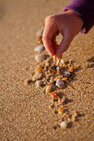 Closeup of hand of young girl playing with shells on beachの写真素材