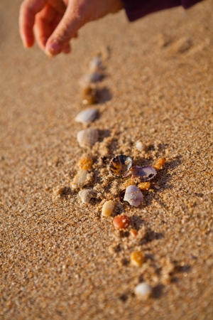 Closeup of hand of young girl playing with shells on beachの写真素材