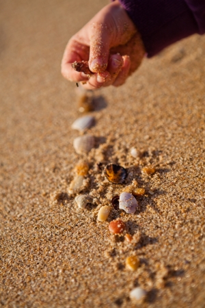 Closeup of hand of young girl playing with shells on beachの写真素材