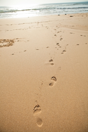 Footprints in the sand on the beach on a sunny dayの写真素材