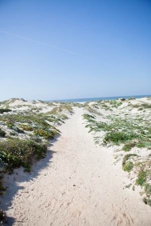 Sandy path to beach in Baleal Portugalの写真素材
