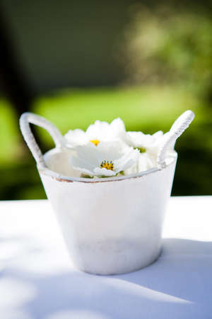 Closeup of decorative white daisy flowers in bucket on table outdoors on sunny dayの写真素材