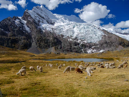 View on the mountains of Peru on the ausangate trekの写真素材